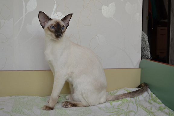  - ��������� ����